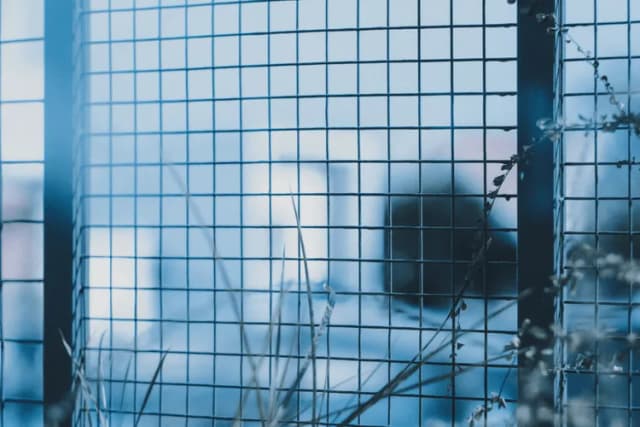 Skuteczne sposoby na to, czym wyczyścić metalowe ogrodzenie Skuteczne sposoby na to, czym wyczyścić metalowe ogrodzenie